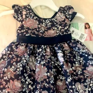 Toddler girl holiday dress
